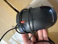 Mysz lenovo na kablu