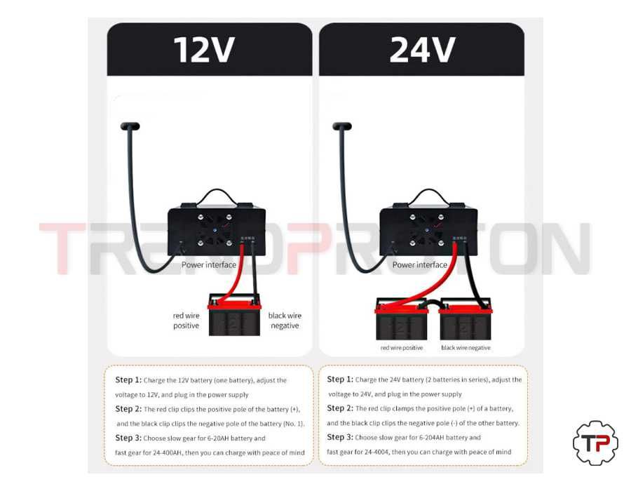 Carregador / Reparador de Baterias Inteligente 12/24V