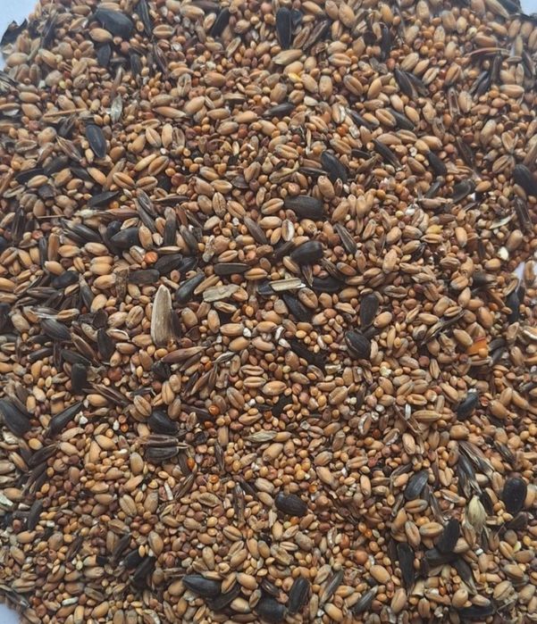 Pokarm zimowy do karmnika dla ptaków dzikich 10 kg gratis kula tluszc