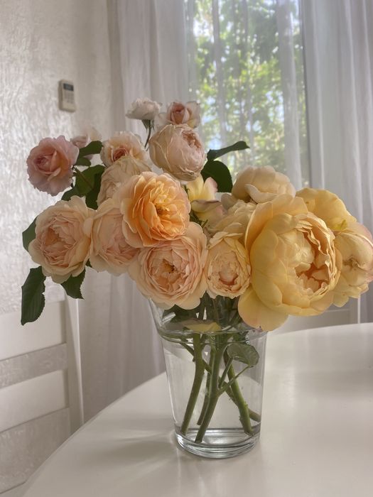 Розы английские