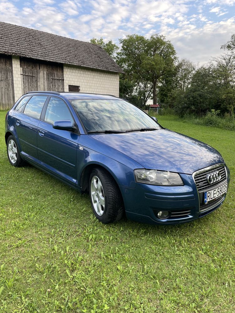Audi A3 8P 2.0 TFSI Quattro