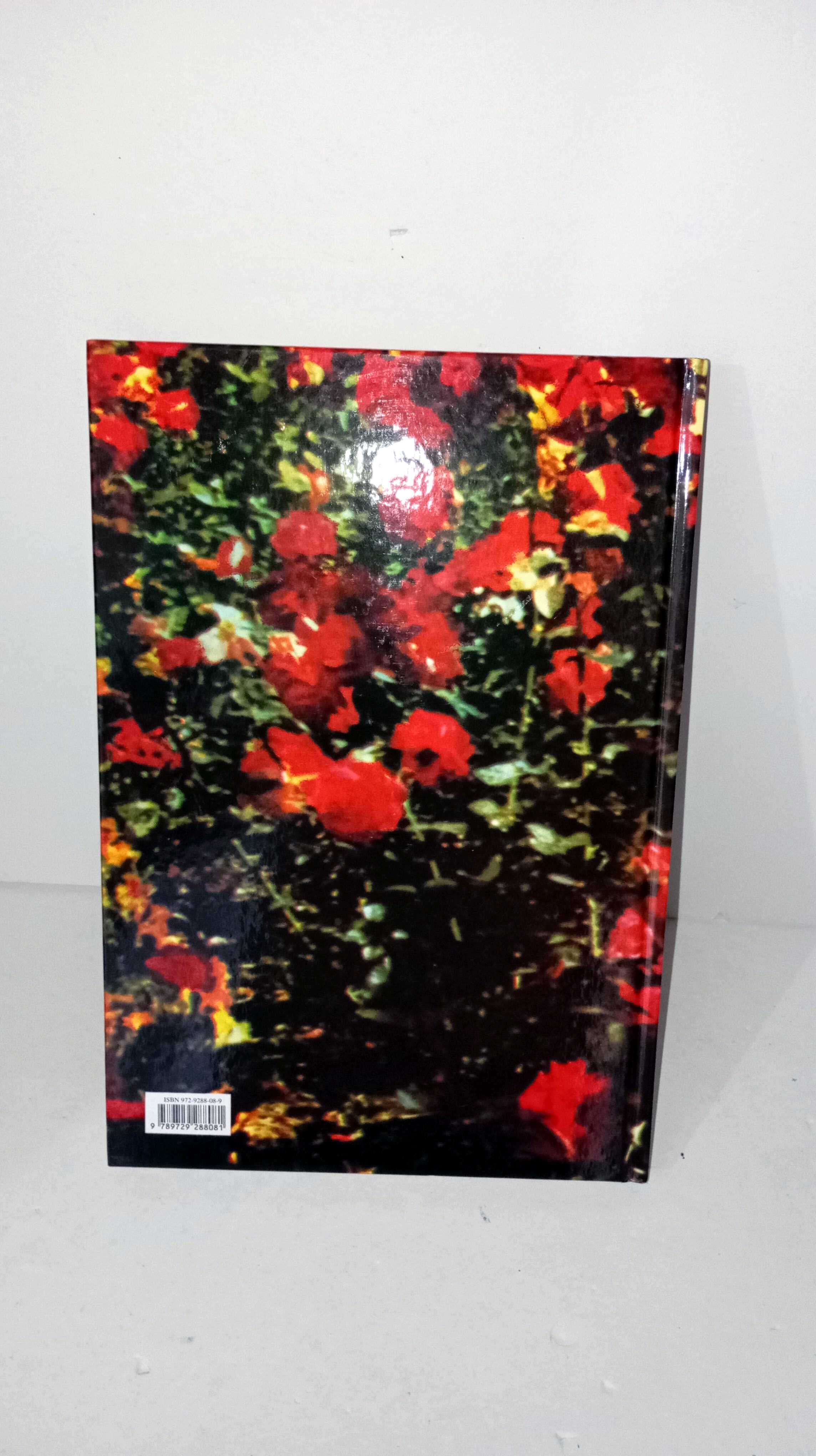 Flores para Crianças