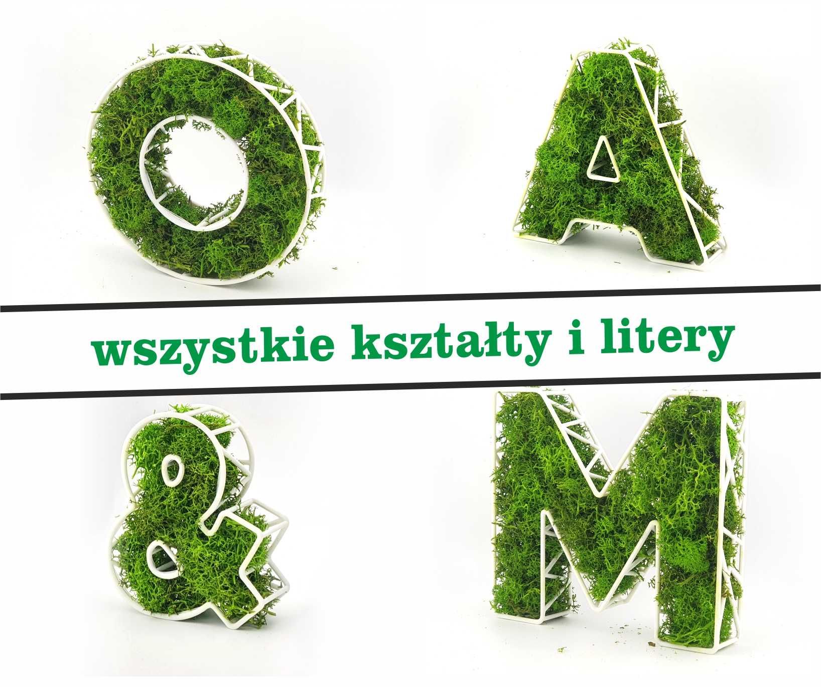 Litera ,inicjały, logo z mchem chrobotkiem – naturalna dekoracja 3D