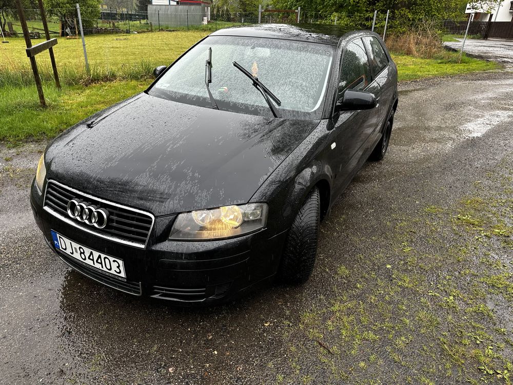 Audi A3 8P 1.9 tdi