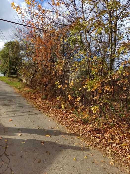 Продаж земельноі ділянки, р-н Руськоі