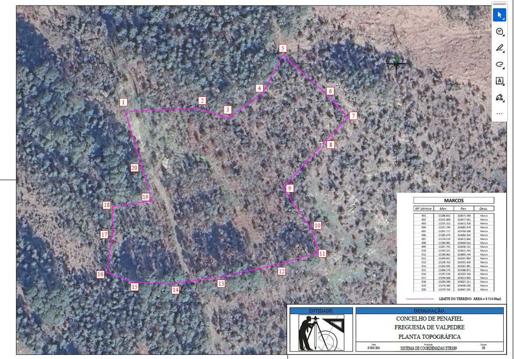 Terreno Florestal - Valpedre - Penafiel