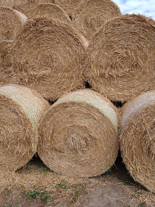 Sprzedam słomę słoma