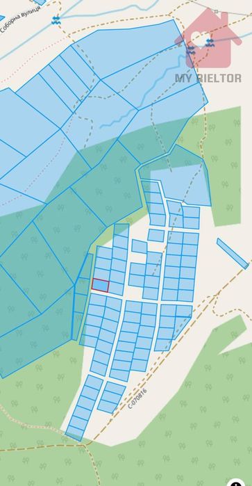 Продаж Ділянки Туря - Пасіка