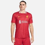 Футболка NIKE LFC M Dri FN8798-688