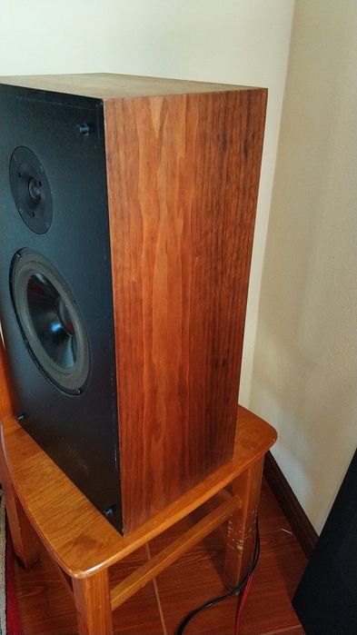 Snell J3 excelente