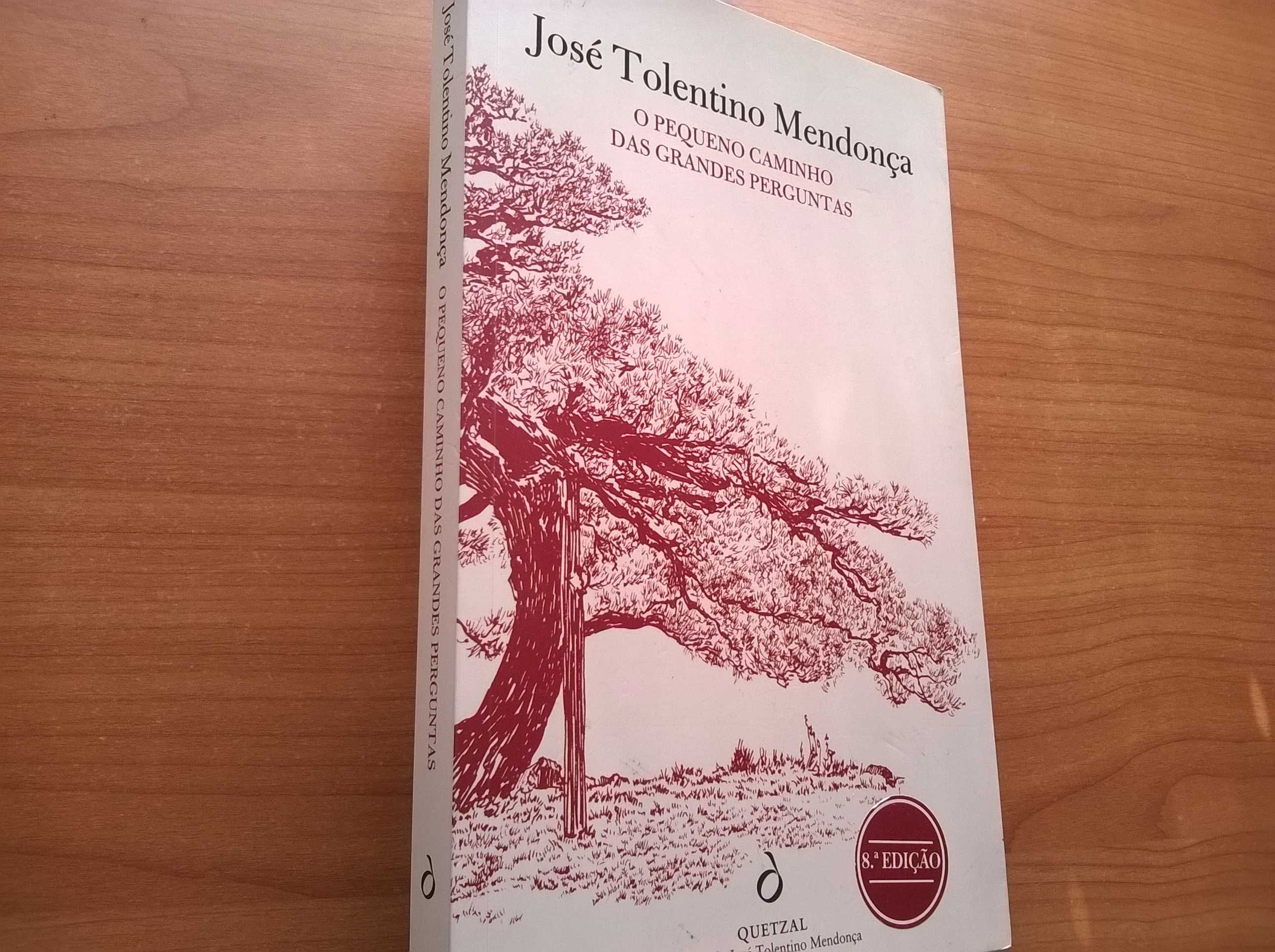 O Pequeno Caminho das Grandes Perguntas - José Tolentino Mendonça