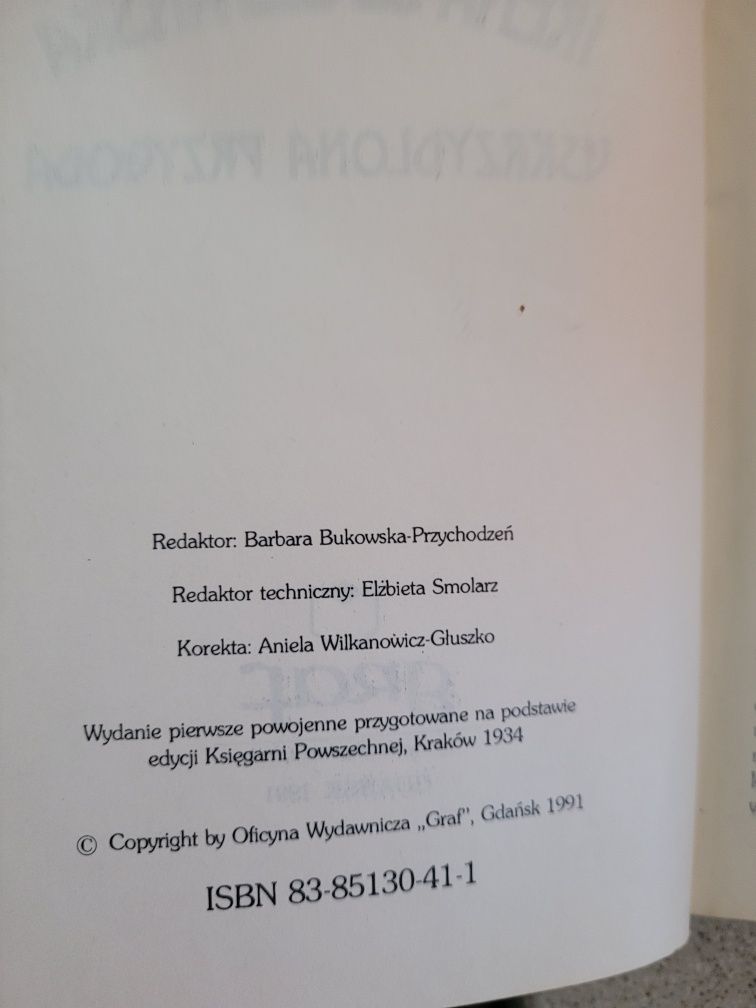 Irena Szczepańska Uskrzydlona przygoda 1991 Graf Gdańsk