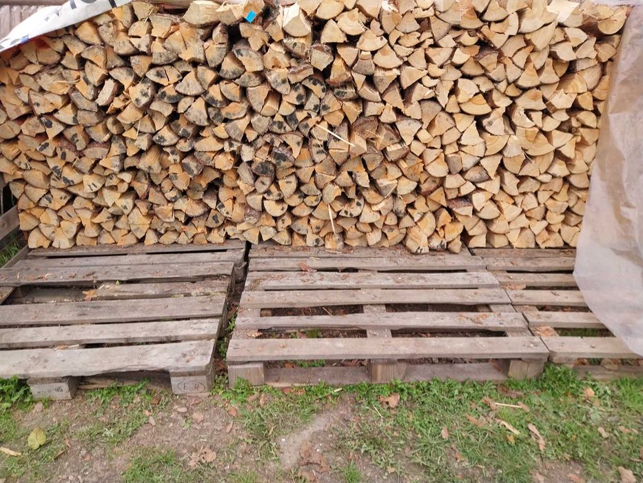 Suche drewno opałowe