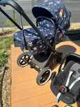 Cybex Priam Anna K Rocket