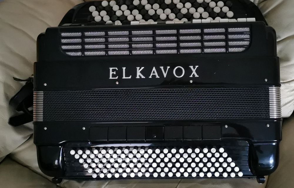 Acordeon(acordeão) elkavox 83