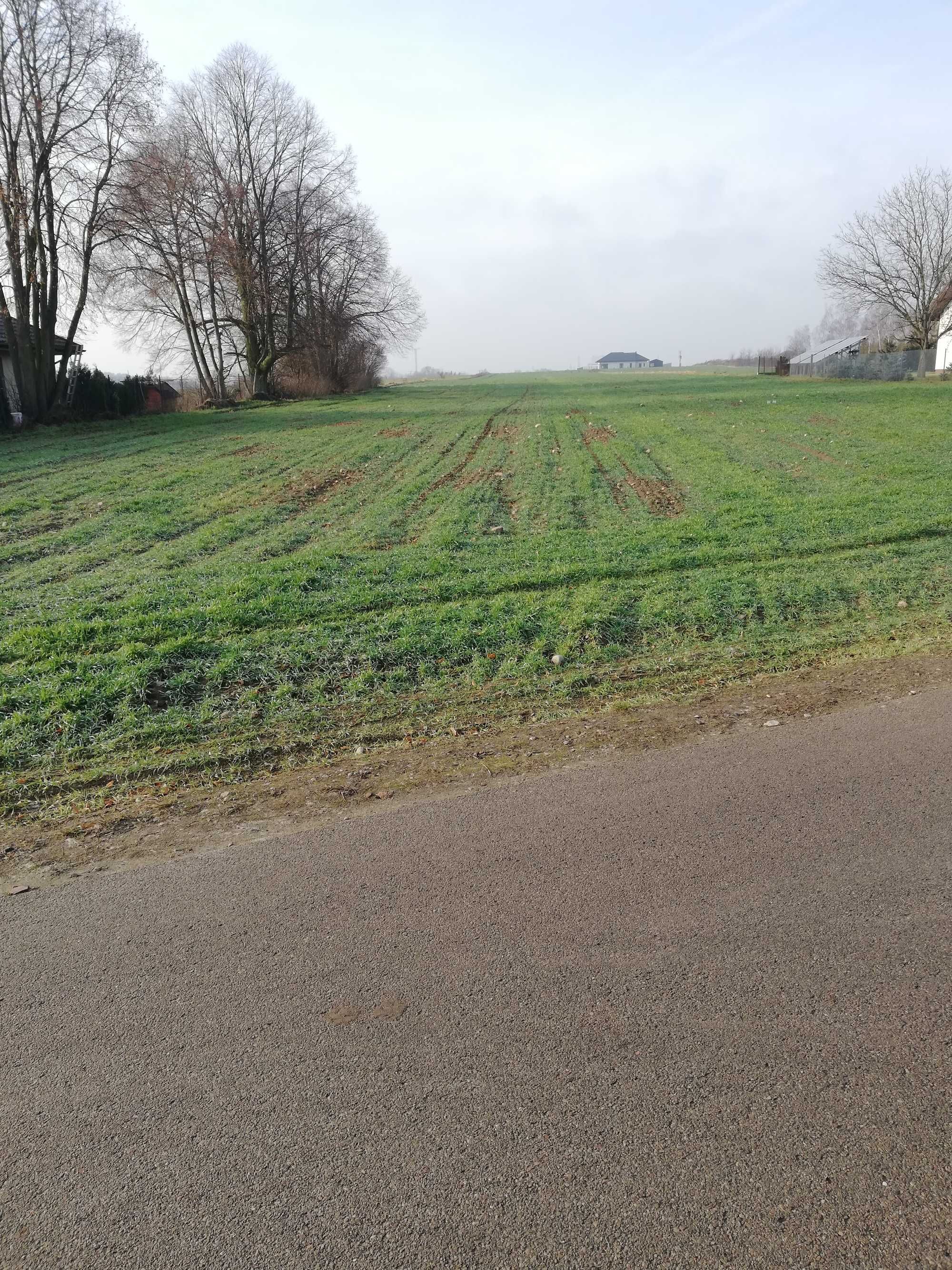 Sprzedam działki budowlane w Borkowie Kościelnym