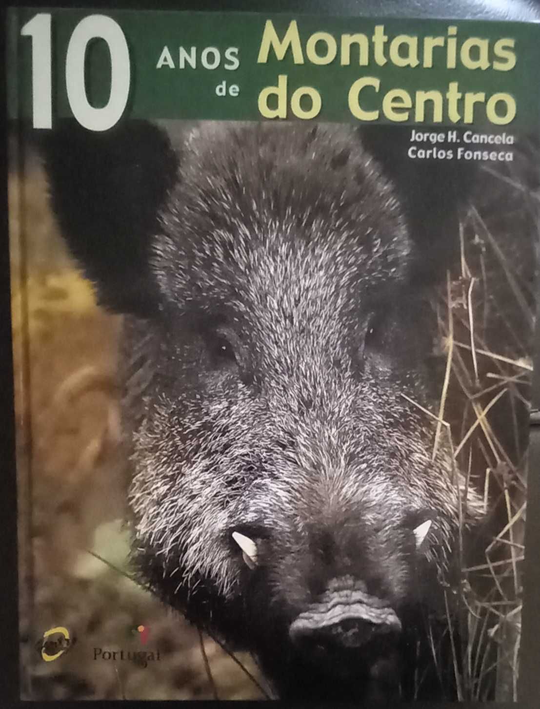 10 Anos de Montarias do Centro