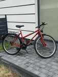 Rower damka  Shark X1000