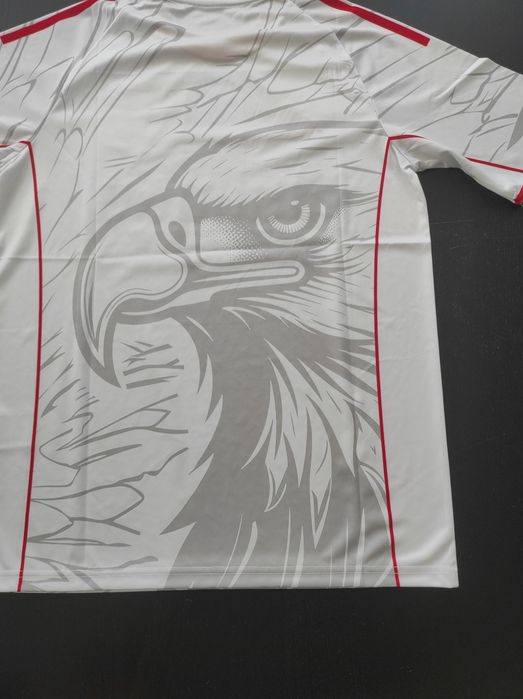 Camisola do Benfica, edição especial
