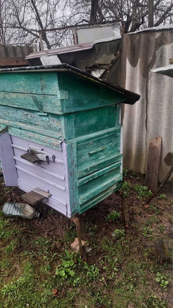 Вулик з рамками на дві сімї