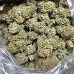2g Amnesia Haze 36%