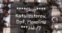 Skup katalizatorow Monolitu Dpf 24h/7 nawet w swieta. Bez pośredników