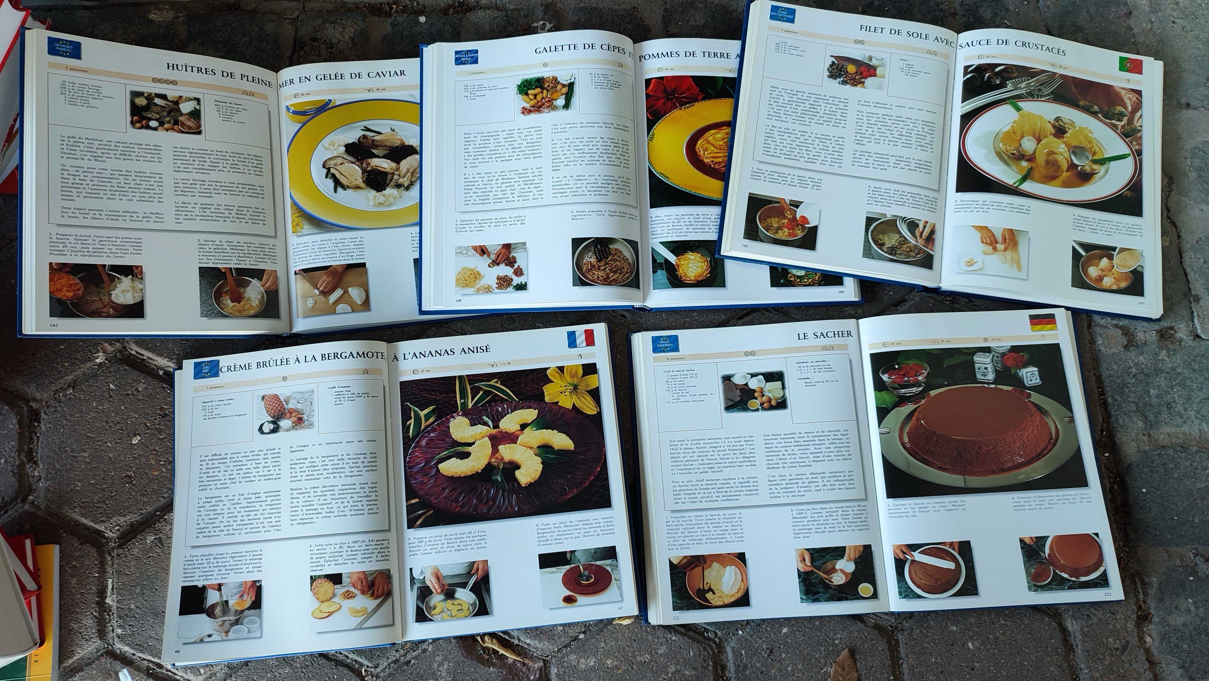 5 livros de cozinha Europeia - Idioma Francês