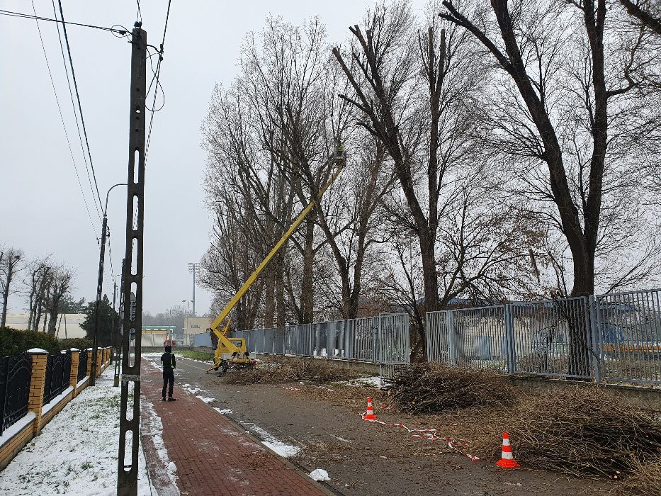 Wycinka drzew, rębak do gałęzi, frezowanie pni, mulczer, podnośnik