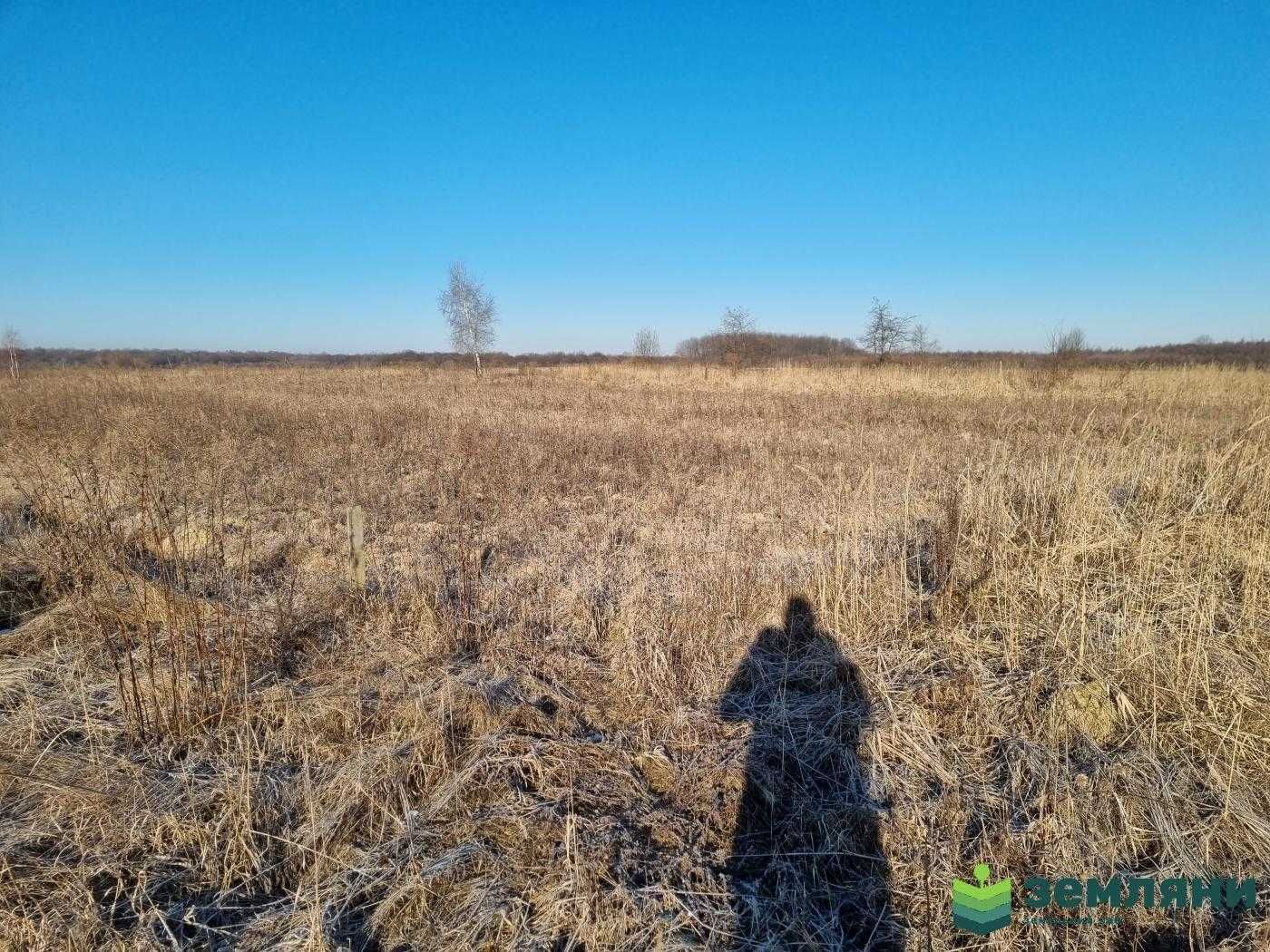 Продаж земельної ділянки 12 сот під будівництво с.Колодіївка