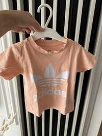 Bluzka tshirt morelowa Adidas