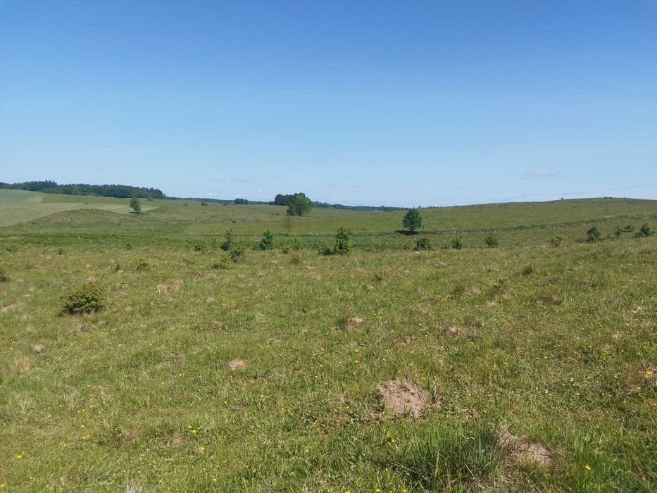 Działka budowlana Mazury przy Lesie