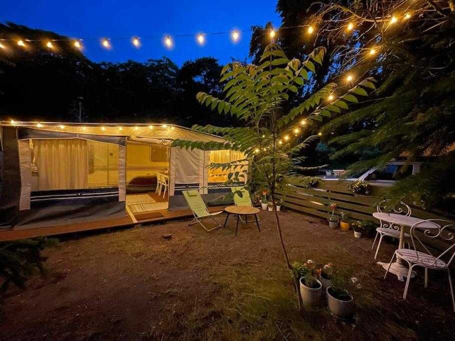 CampOlo - przyczepa kempingowa - płw. Helski - kemping Kormoran