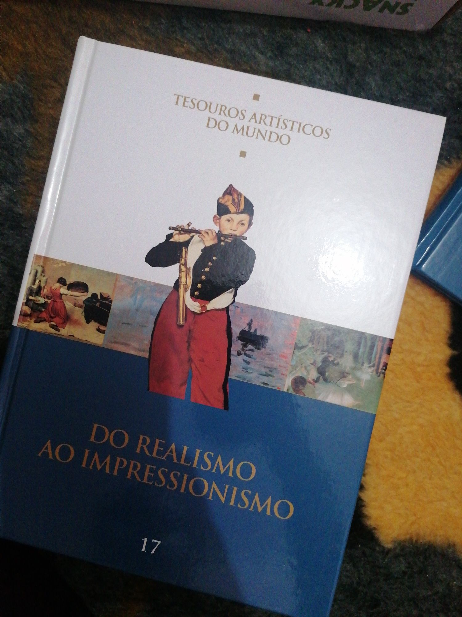 Livros Tesouros Artísticos do Mundo (novosl