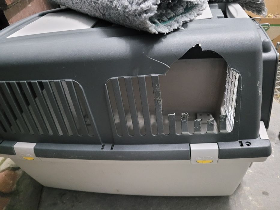 Trixie duży Transporter dla psa Gulliver, rozm. 4

Rozm 4: gł. x szer.