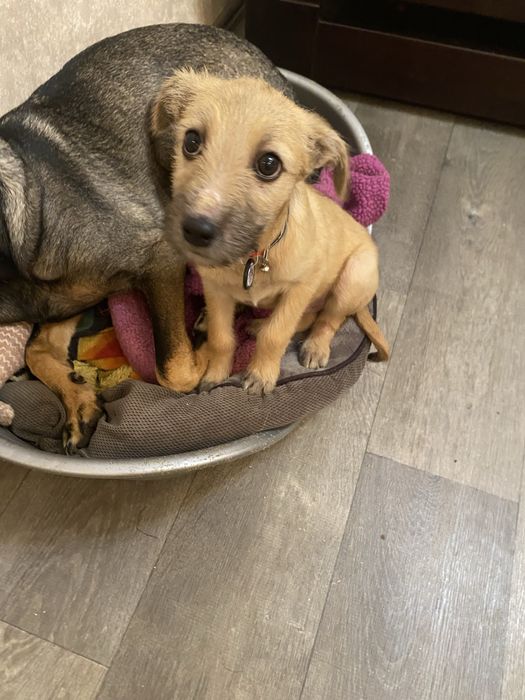 Майк в добрі ручки