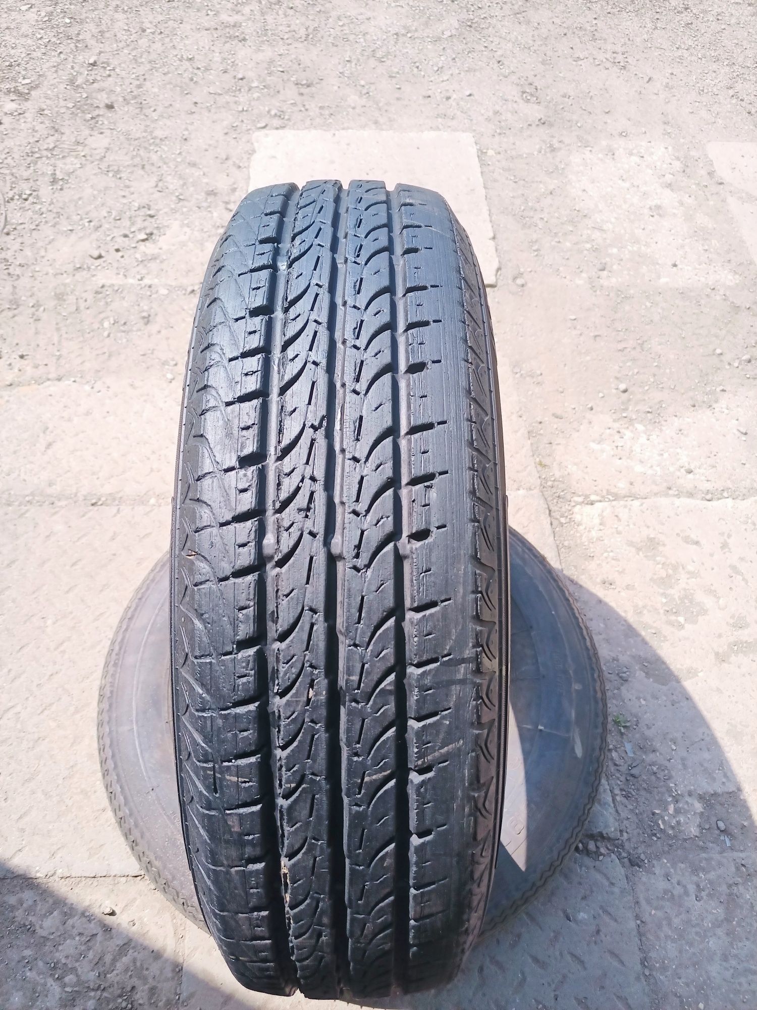 185/80/14 C wzmocnione Semperit bieżnik 6mm