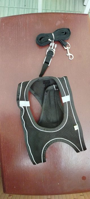 Шлейка ошейник и поводок для собаки