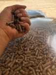 Pellet pelet  sosnowy lokalny producent  6mm pellet drzewny