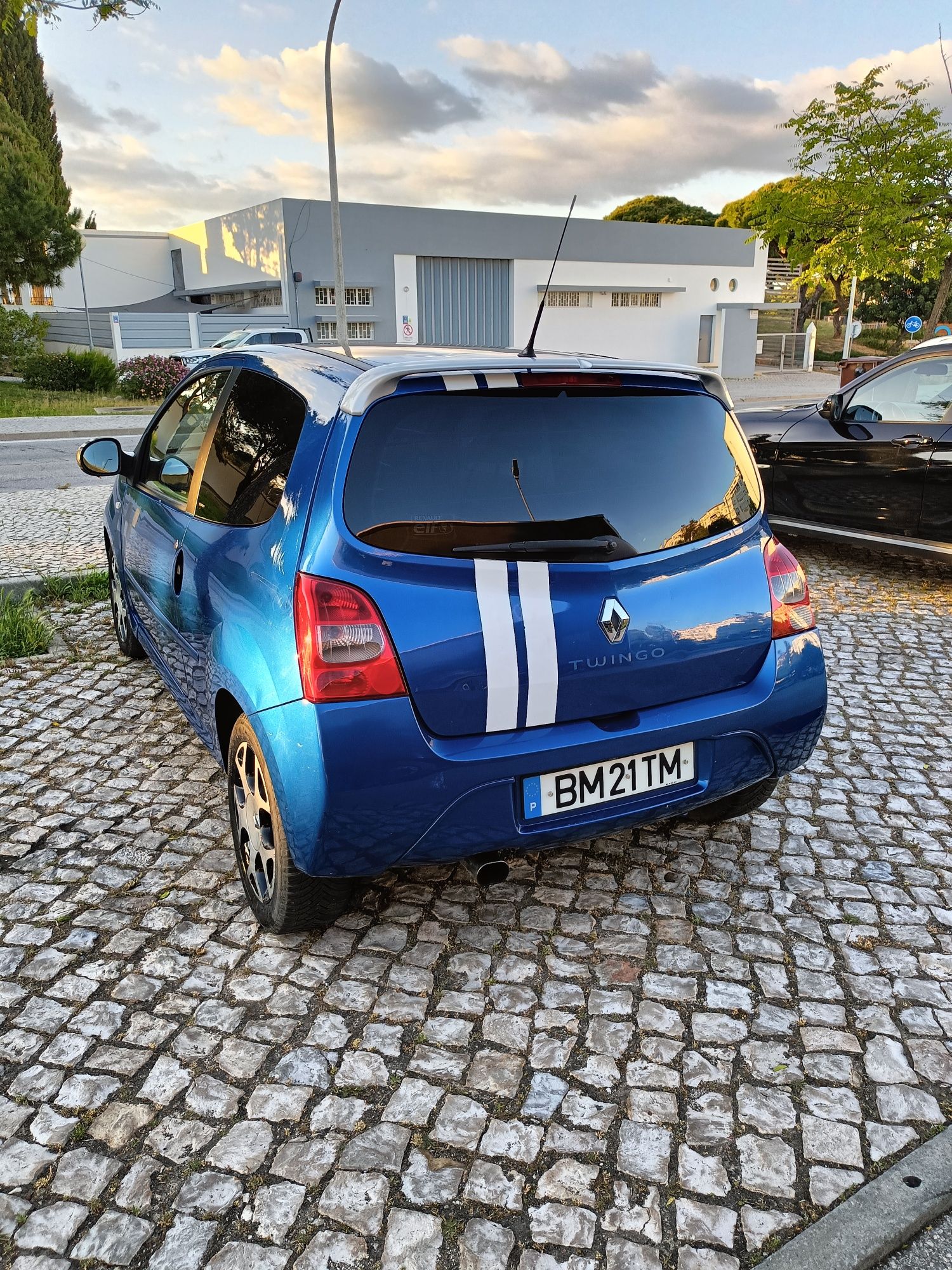 Caro Renault Twingo 2007