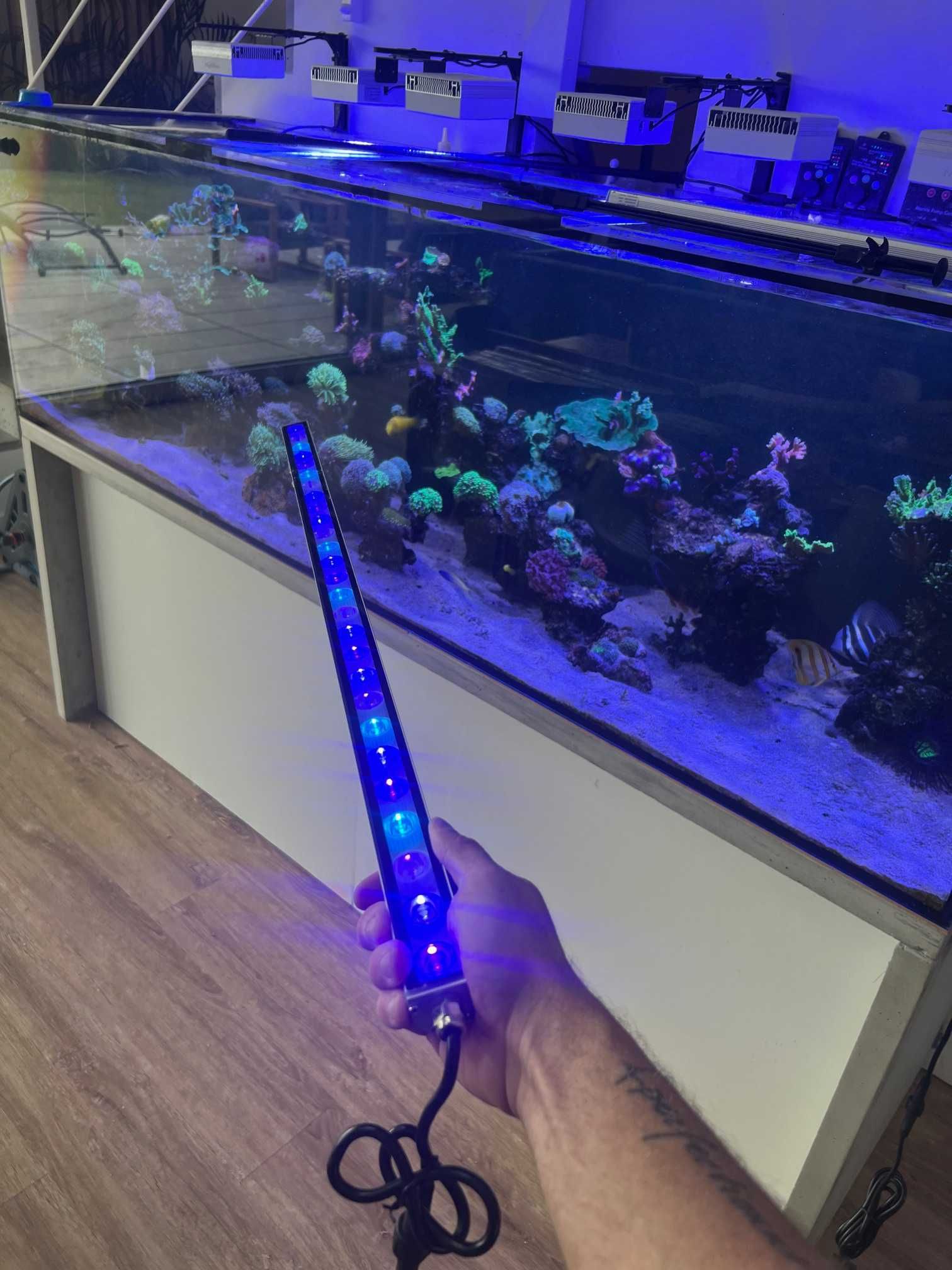 Led Bar do Akwarium Morskiego Belka UV Blue + Ściemniacz i Timer 55cm