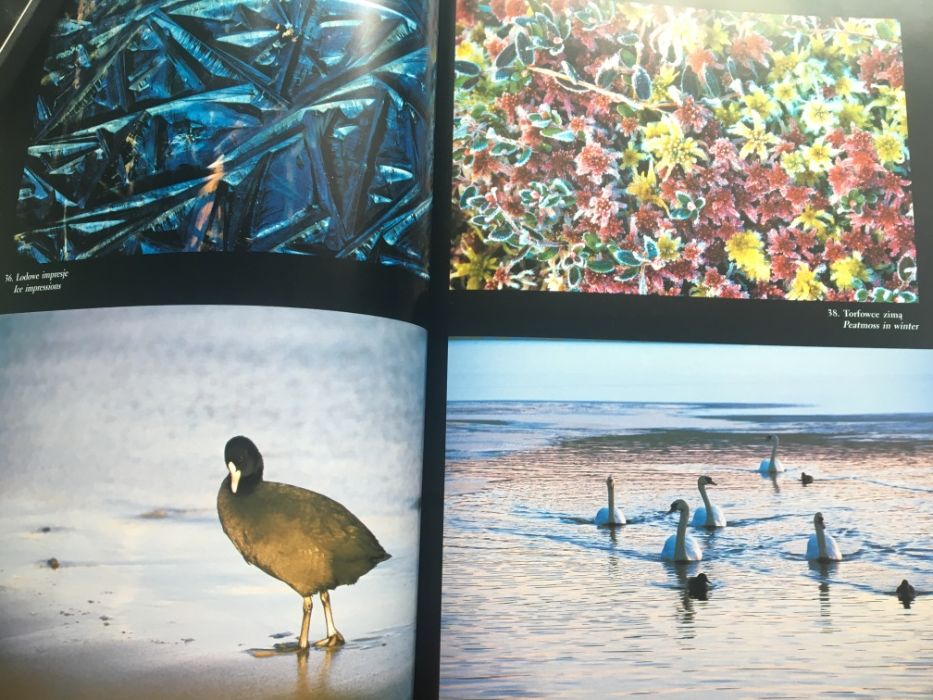 Album Natura województwa kujawsko -pomorskiego TANIO Prezent