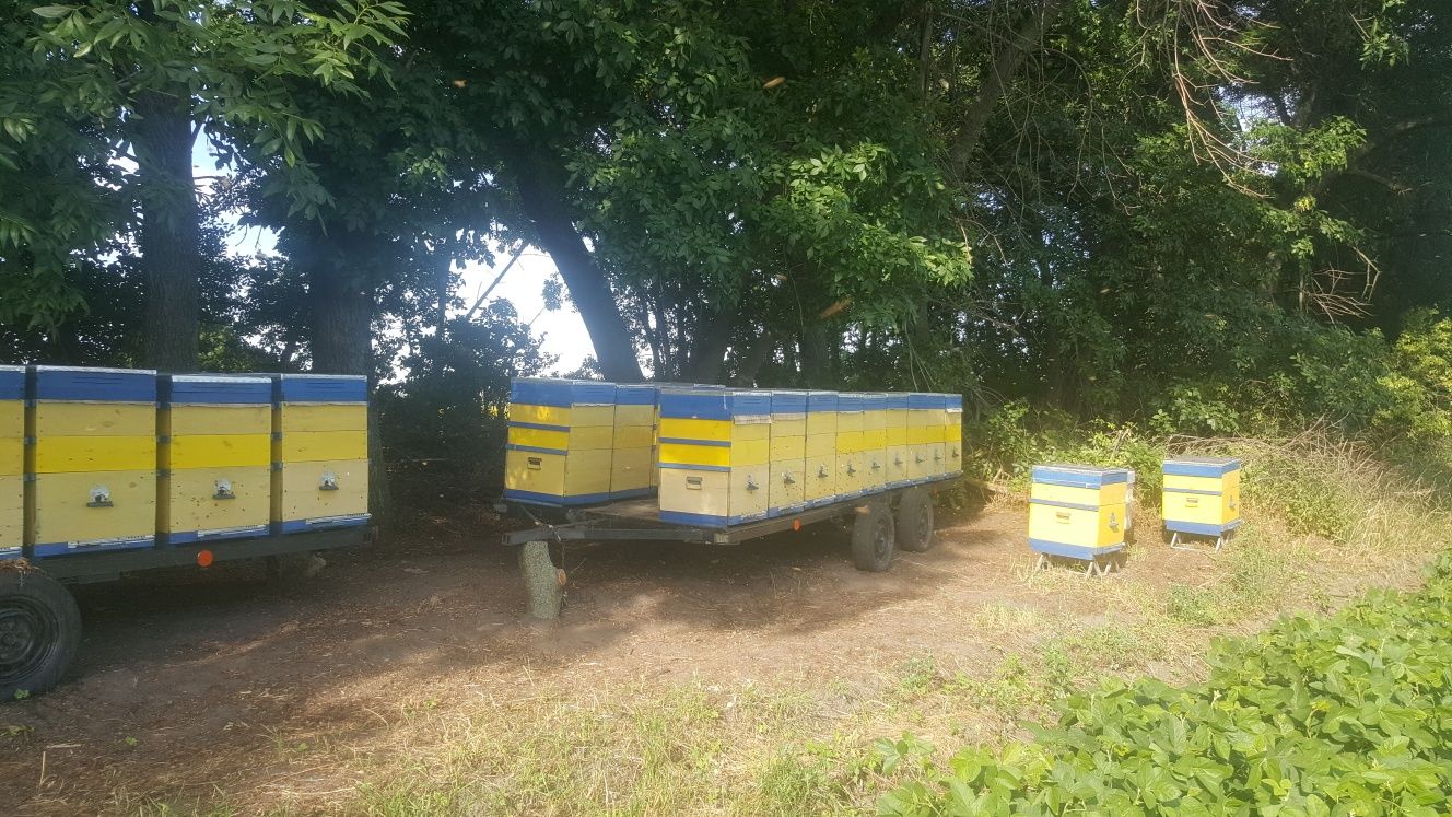 Прицеп-платформа для вуликів прицеп для ульев прицеп для пчёл