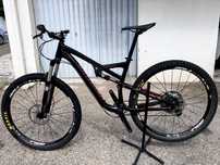 Specialized CAMBER 29"