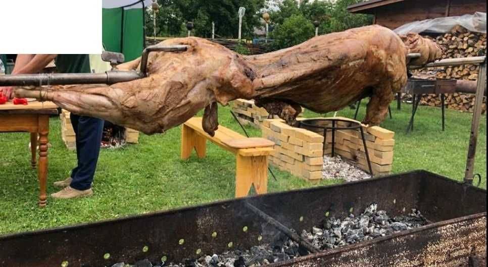 Якісні тушки ягнятини/баранини. Ягнятина Мериноландшаф / Романівська.