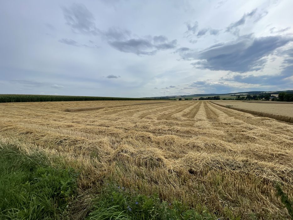 Działka rolna II / IIIa klasa ,pole orne