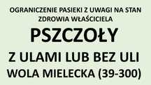 Ule z pszczołami