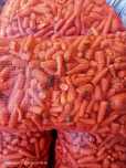Cenoura para alimentação Animal (saco)