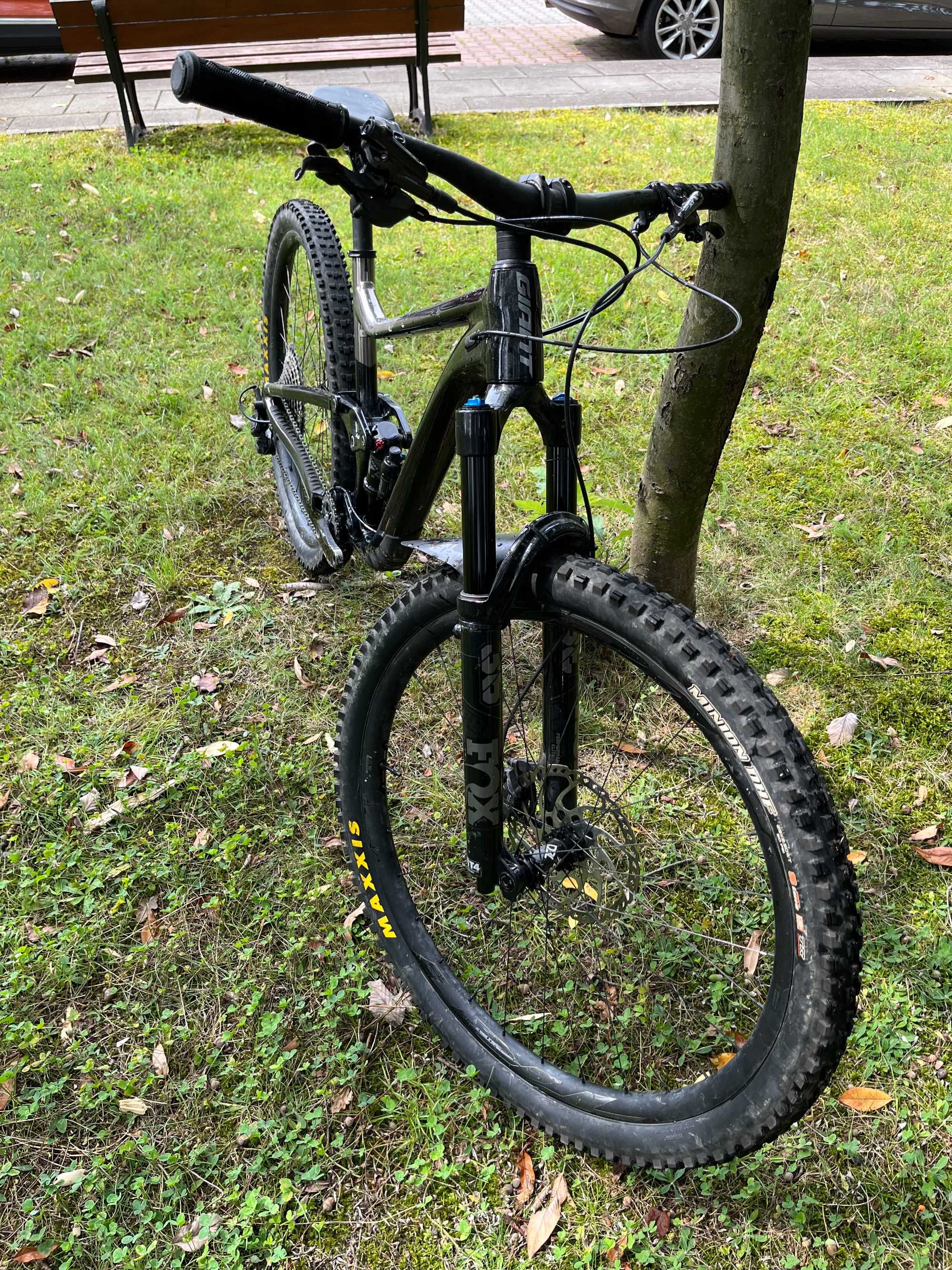 Rower górski Giant Trance X 29 1