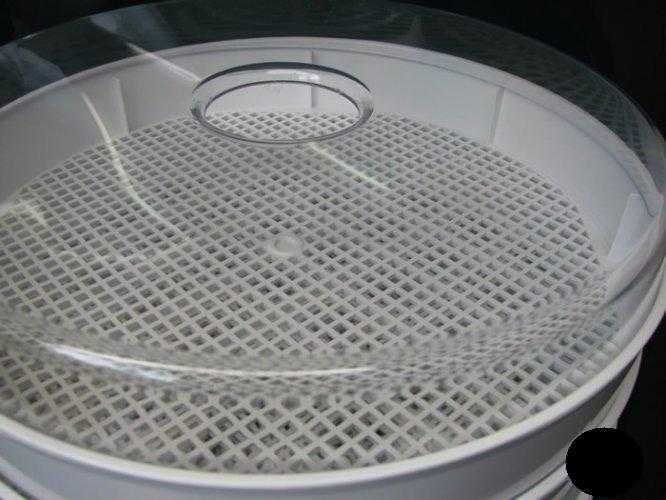 Suszarka do grzybów warzyw  Niewiadów mocna 500W biała sita 4szt 5cm