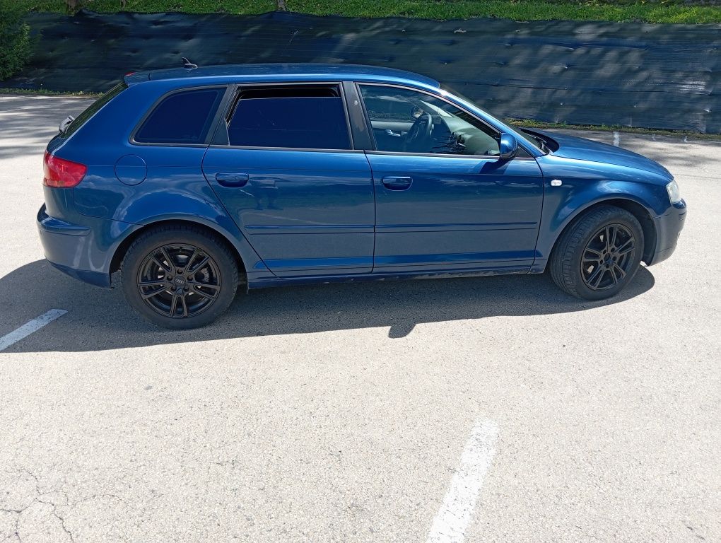 Audi A3 8p 2.0Tdi